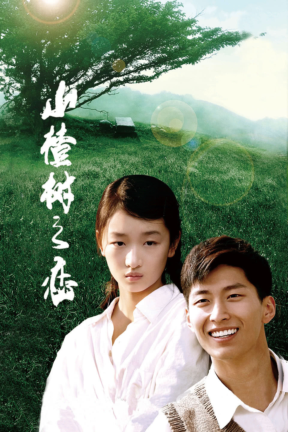 山楂树之恋
